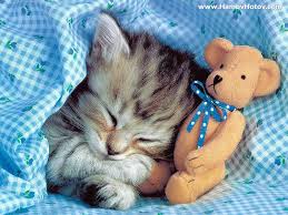 images (16)